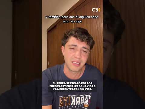 Su perra se escapó por los fuegos artificiales en Villa Allende y la encontraron sin vida