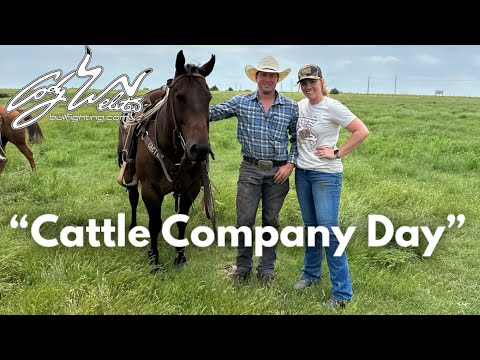 Cattle Company Day - Behind The Chutes #177