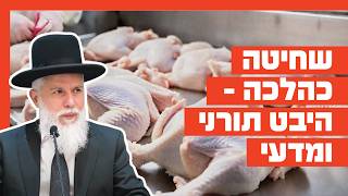 הרב זמיר כהן - שחיטה כהלכה: היבט תורני ומדעי