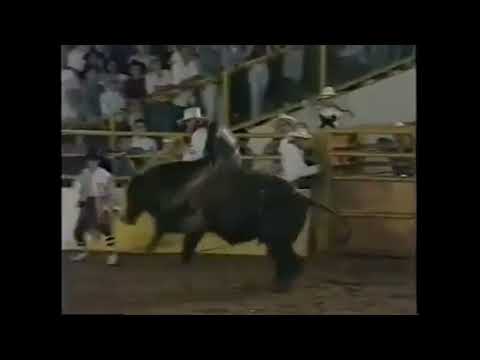 Israel Pimentel vs Pedra 90😃😃😃