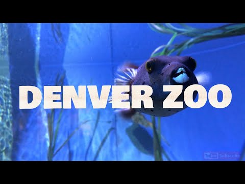 image-Is there a zoo in Denver Colorado? 
