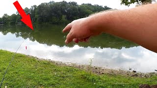 Ultralight Fishing From Shore with a Surprise Catch!