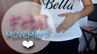 20 Weeks Pregnancy Vlog - Fetal Movement, Ultrasound Pics, Belly Buds