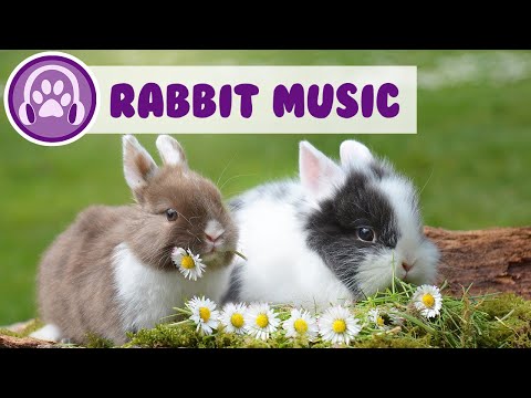 Music For Rabbits - EXTRA-RELAXING Songs to Calm Your Bunny!