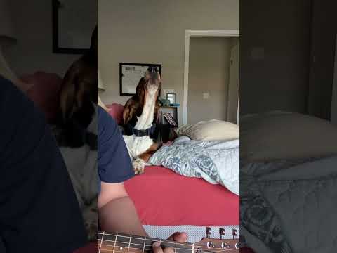 Romeys debut in Estudio de casa Bonita!