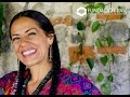 Lila Downs  - Ofrenda  en vivo