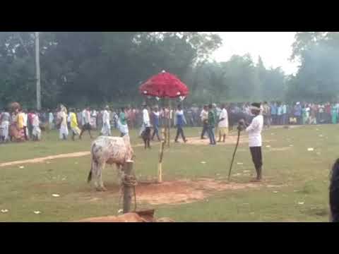 New santali video 2017,27,10