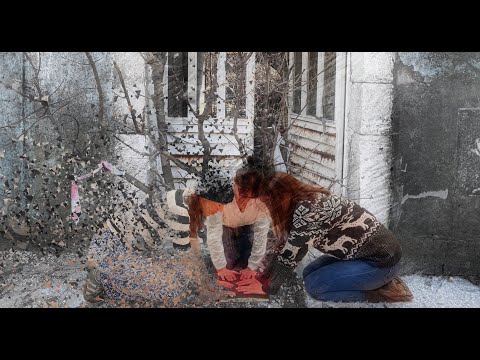 The Tree Peace Found The Drawing's Soul