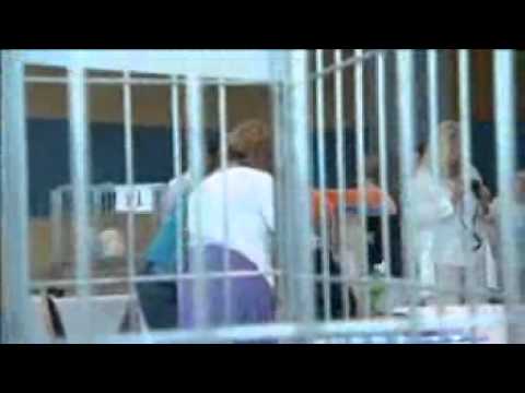 Petra Khadija Mueller Katzenmesse Dubai