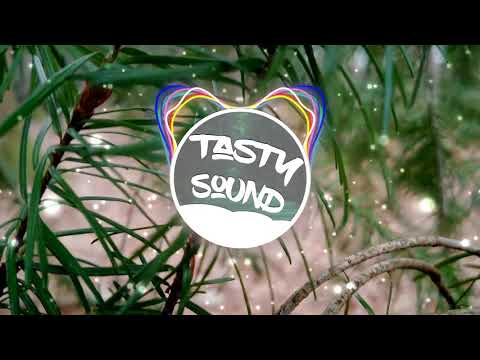 Blaze U & LANNÉ - Keep It Lit (VIP Edit) von Future House Cloud (Bass Boost) | Tasty Sound