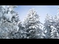 elderwind - в снегах (in the snows) 2012 