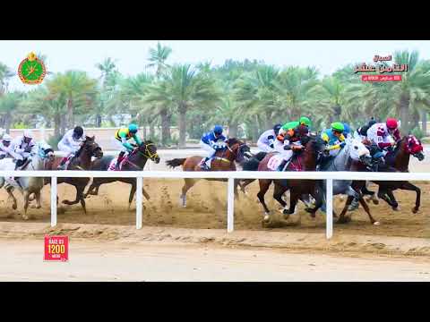 الشوط الثالث - السباق الثامن عشر- الرحبة 23/03/2019 Race 3-18th meeting