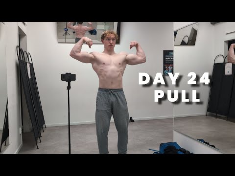 Winter Bulk Day 24 Pull