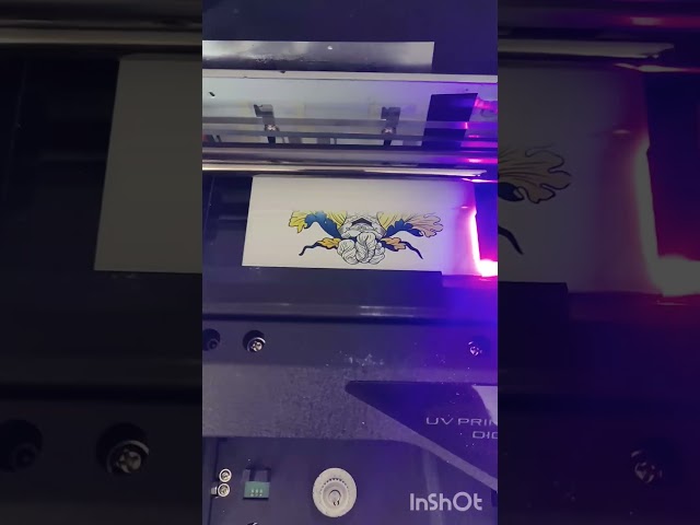 Vídeo relacionado con Artimagen Pegatina Escudo República Checa 40x60 mm.