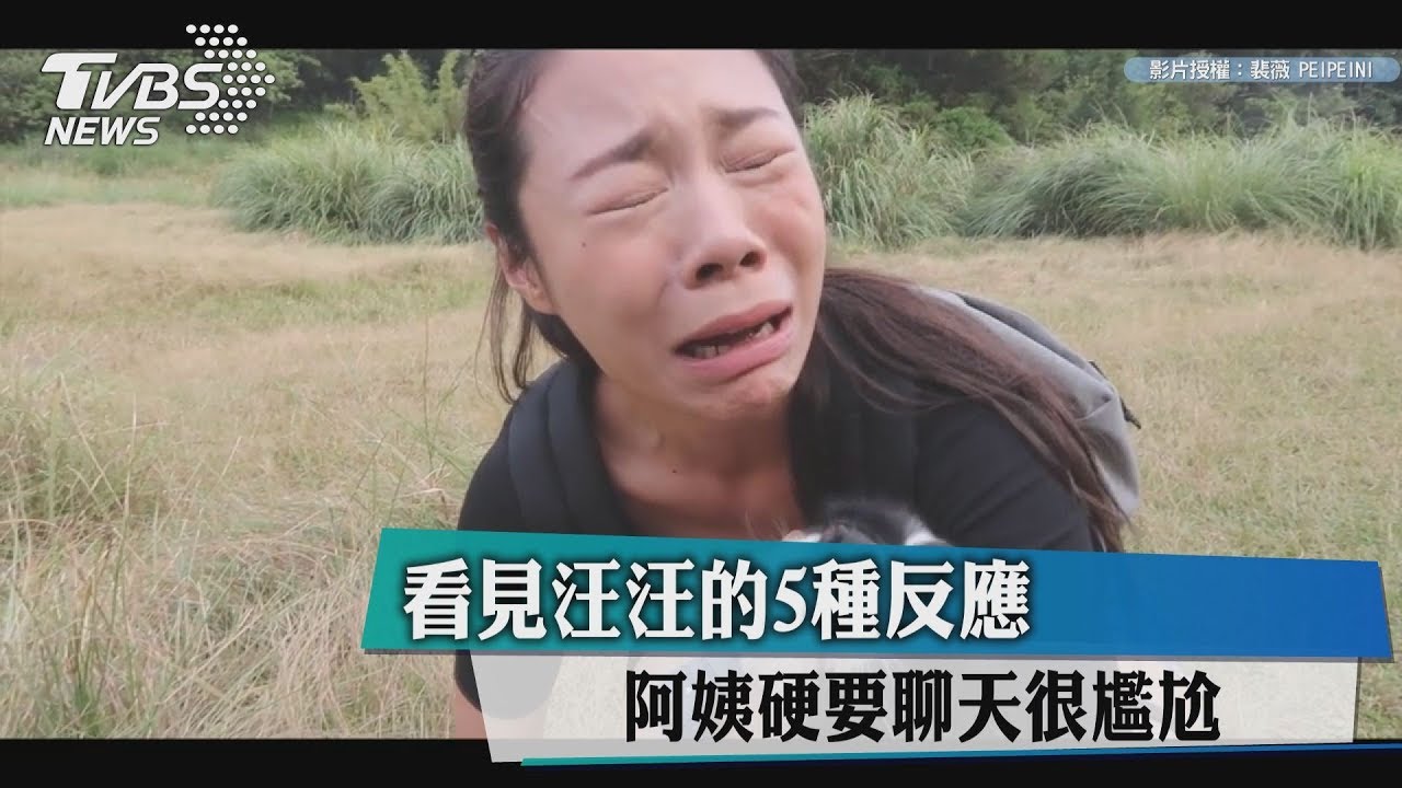 看見汪汪的5種反應 阿姨硬要聊天很尷尬