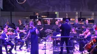 Ayrılık da Sevdaya Dahil (Senfonik) - Zuhal Olcay