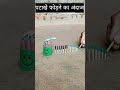 पटाखों का बड़ा धमाका Fireworks Shorts Viral Youtube Video Subscrib