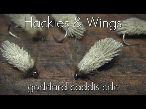 Fly Tying Goddard Caddis CdC | Hackles & Wings