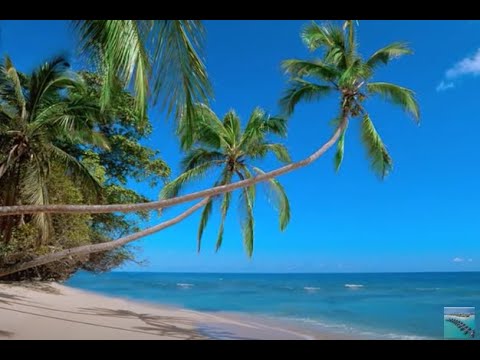 Jese Mucunabitu-Fascinating Fiji,