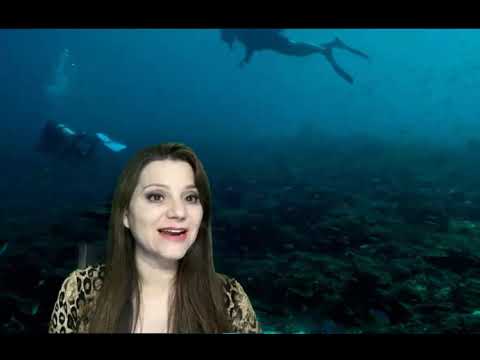 Cararcterísticas de los Cordados, origen y Urocordados