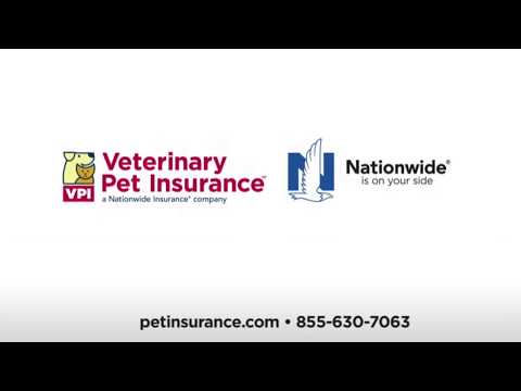 Akshara Damidi Creative project Advrt 230