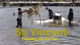 St Vincent, Grenadine Islands. Chi Chi (Tri Tri)  Fishing