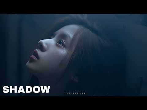 The Shadow - You were my only hope (Official Audio)