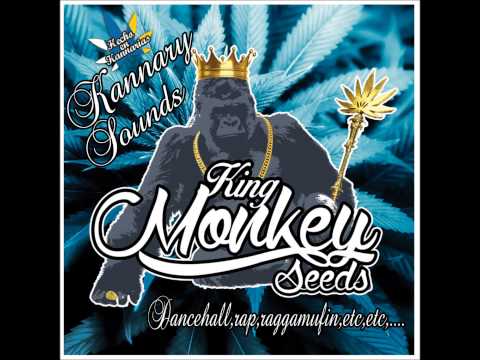 don virgilio mucha marihuana dubplate king monkey seeds