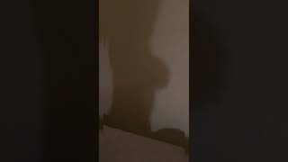 Download lagu Ochi bikin bayangan Part 2 #berlian #kimochi #ochi #blackmamba #livestream #kimochiberlianhot mp3 Download lagu Ochi bikin bayangan Part 2 #berlian #kimochi #ochi #blackmamba #livestream #kimochiberlianhot mp3