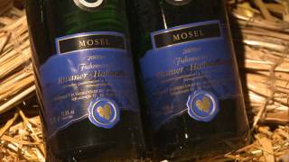 preview picture of video 'Wijn & Gastronomie in het vakantieland Cochem aan de Moezel'