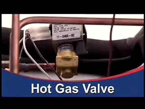 PUCCI COZINHAS - conheça a melhor maquina de gelo do mundo Scotsman Prodigy Ice