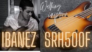Video thumbnail for Ibanez Bass Workshop SRH500F  - Coltrane/Davis - Equinox -Walking + improv by Ybra Music