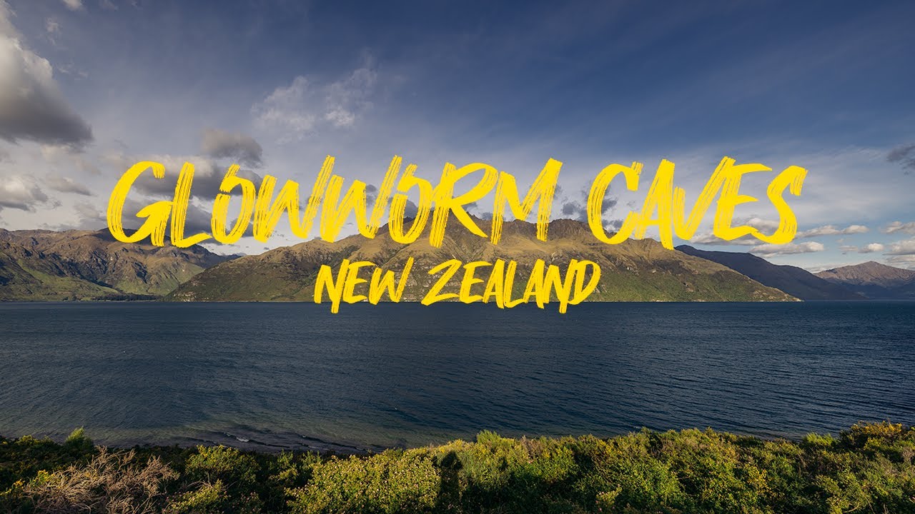 Travelers explore Te Anau Glowworm Caves in this video.