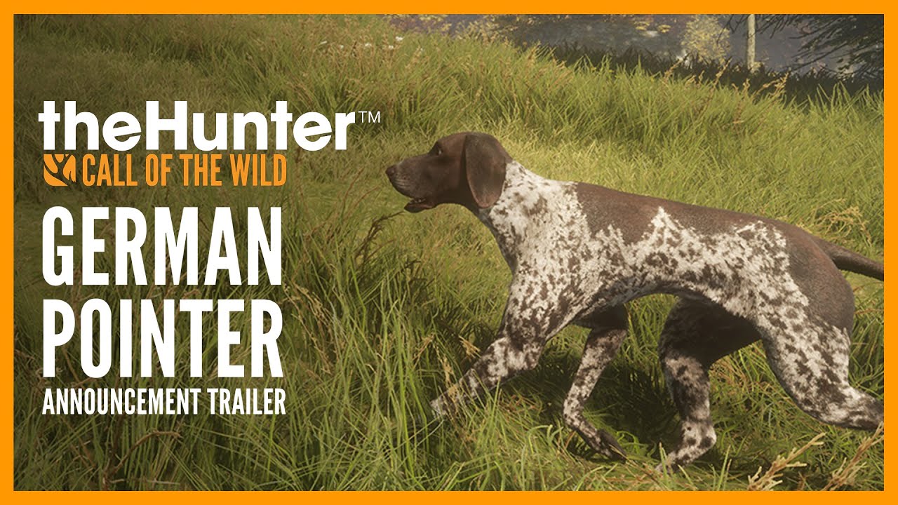 Vídeo 7 de TheHunter: Call of the Wild - German Shorthaired Pointer PC Steam CD Key