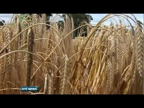 Combines4Charity set new World Record