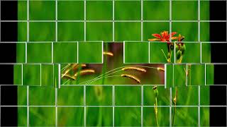 Nana Mouskouri - Danny Boy