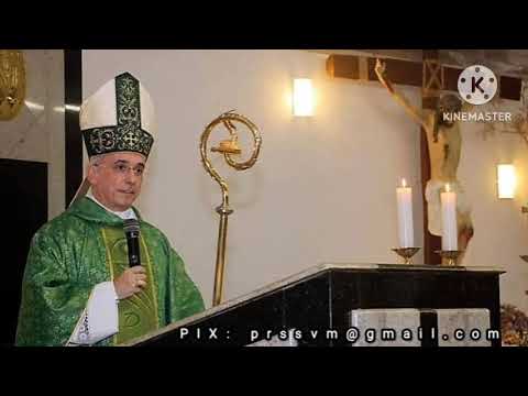 28º DOMINGO DO TEMPO COMUM, A - Dom Henrique Soares