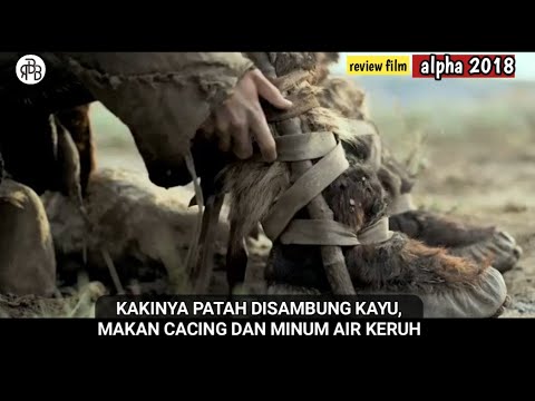 THE MOST EXCITING SURVIVAL FILM! - ALPHA film review