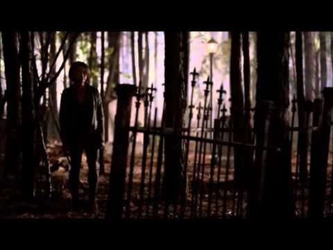 DAMON'S DEATH TVD last scene 5x22 Wings-Birdy