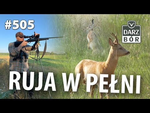 Darz Bór odc 505 „ Polowanie na Rogacze w czasie rui z wabikiem”
