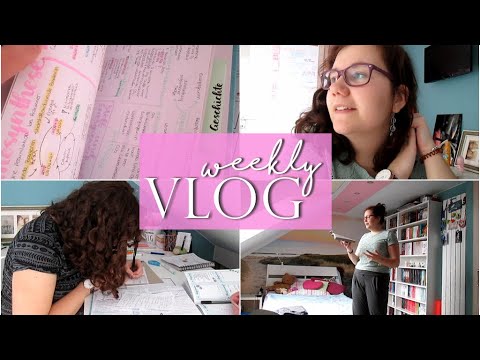 Das große Lernen beginnt - VLOG #27 l Produktivität, Motivation, Abitur 2020