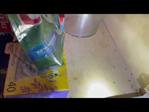 Large Opening from Dishwasher Leads to a Mice Infestation in Montgomery, NJ