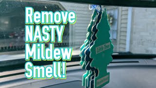Removing NASTY mildew smell from your car