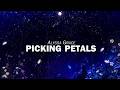 Alyssa Grace Picking Petals Lyrics