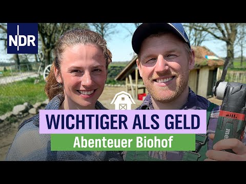 Hühnerstall bauen in 3 Stunden | Folge 9 |  NDR auf'm Land