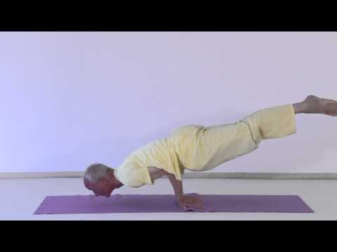 Mayurasana - der Pfau - Asana aus der Yoga Vidya Grundreihe