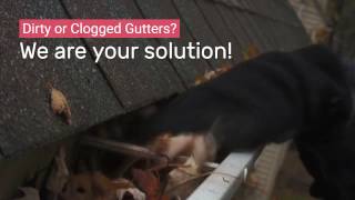 3 Best Gutter Cleaners in Elk Grove, CA - Expert Recommendations