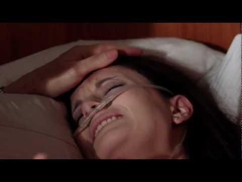 The Way of Love - Movie Trailer