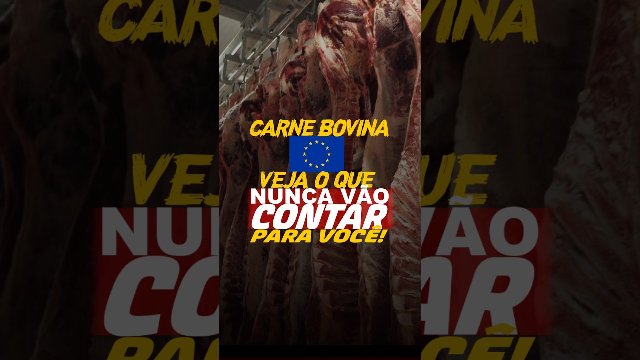 CARNE BOVINA UNIÃO EUROPEIA: VEJA O QUE NUNCA VÃO CONTAR PARA VOCÊ!