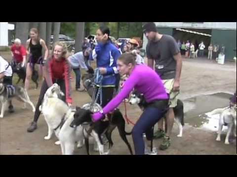 [Mini-Doc] NNESDTF&S